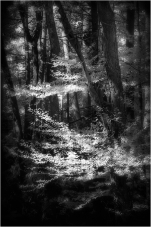 Infrared glow