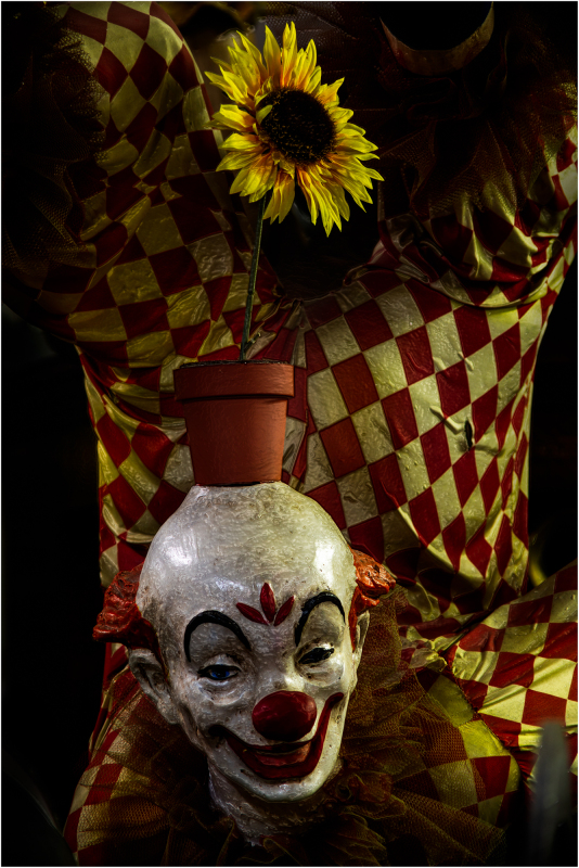 A clown's head with a sunflower pot, set against a checkered backdrop.
