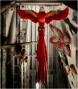 A large red parrot sculpture hangs from the ceiling in a narrow space.