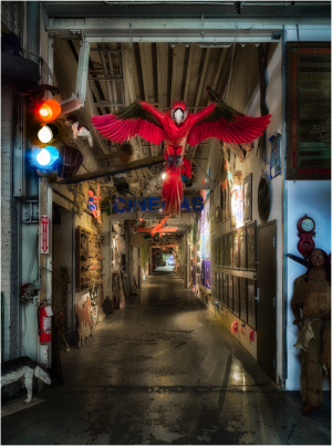 A vibrant corridor adorned with eclectic art and a striking red parrot.