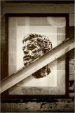 A striking sculpture's portrait framed, with shadows and light playing across it.
