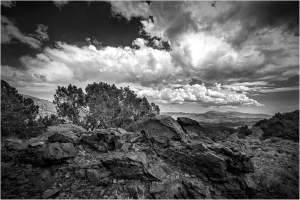 Black and white landscape of rocky terrain with bristlecone trees and dramatic clouds.