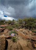 A rocky landscape adorned with vibrant wildflowers under a dramatic sky.