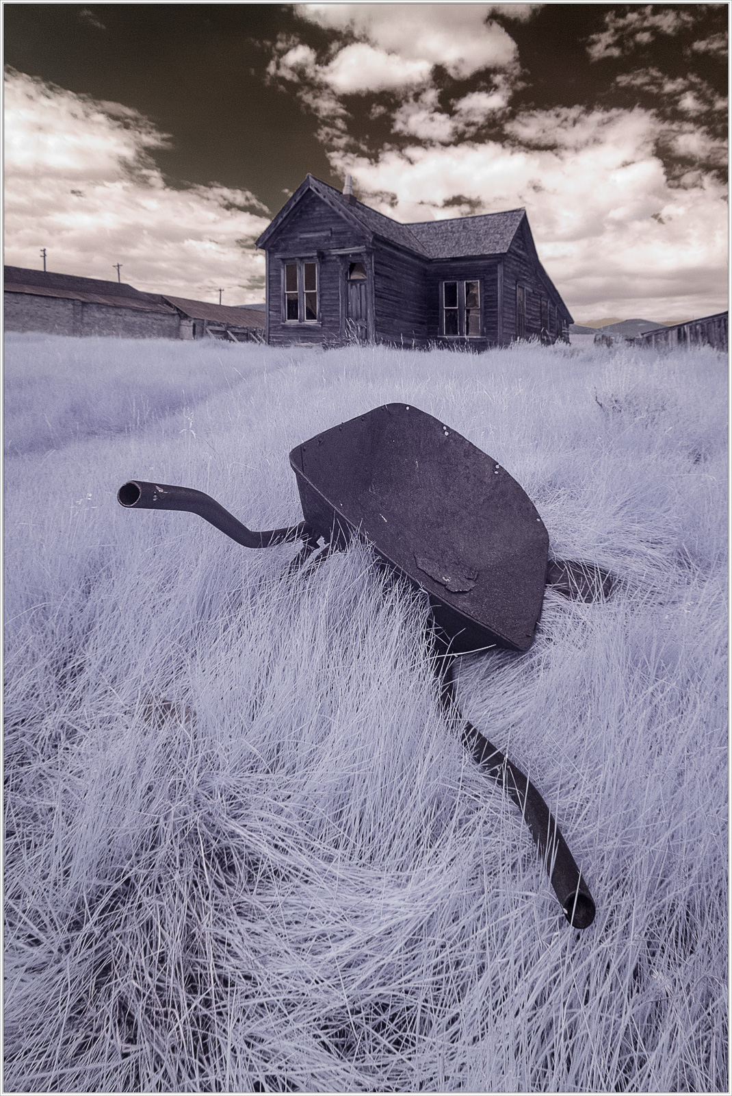 An abandoned wheelbarrow rests in tall grass near a derelict house in Bodie.
