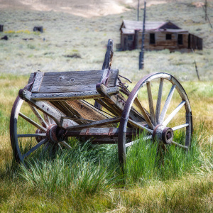 A weathered wagon sits in tall grass, remnants of a bygone era in a ghost town.