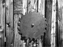 Old saw blade