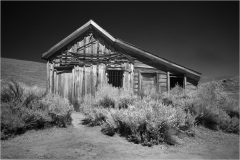 Abandoned wooden structure in a ghost town, surrounded by sagebrush.