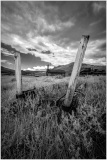 Weathered wooden posts in a grassy field, remnants of Bodie's past infrastructure.