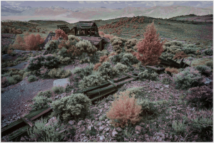 A whimsical landscape with colorful foliage and old train tracks winding through the hills.