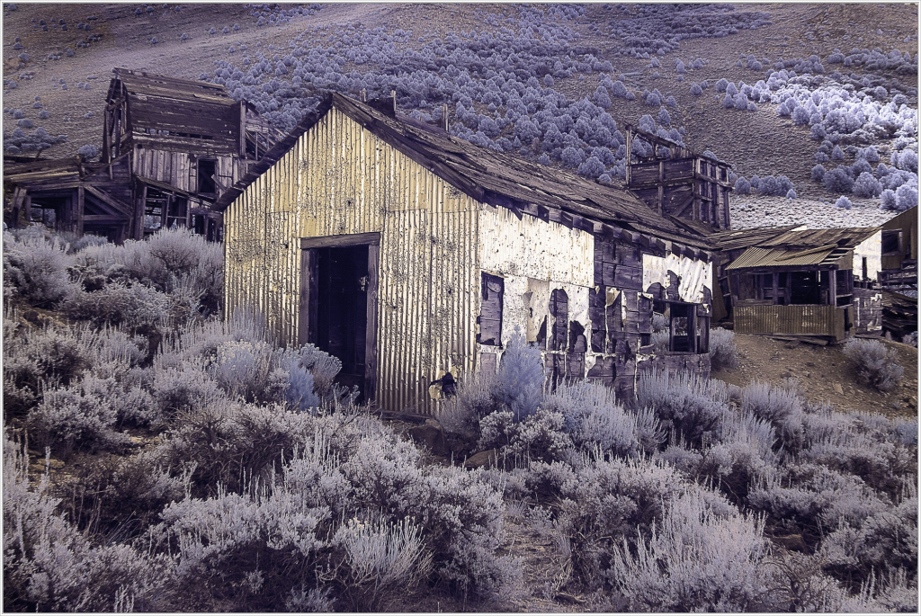 Abandoned wooden building surrounded by dry, muted landscape and ghostly remnants of a bygone era.