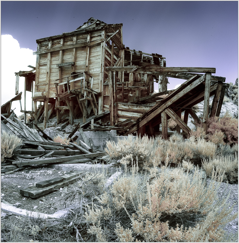 A dilapidated wooden structure teeters among overgrown plants under a moody sky.