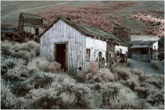 A weathered wooden building stands amidst overgrown brush and hills, evoking a sense of desolation.