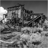 A dilapidated wooden structure stands amidst overgrown sagebrush, a ghost of its former self.