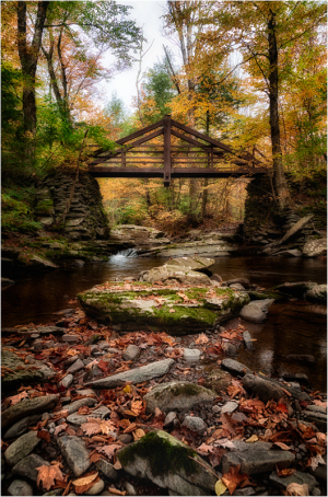 A rustic bridge over a serene stream surrounded by autumn foliage.