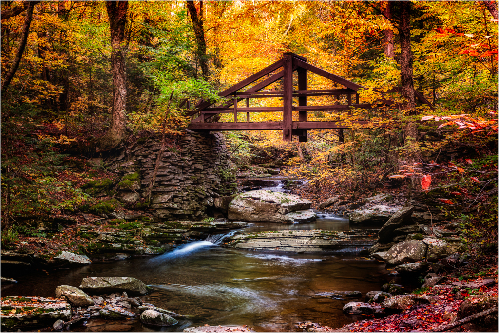 A wooden bridge arches over a gentle stream in a vibrant autumn forest.
