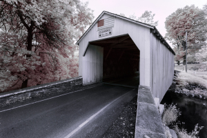A weathered covered bridge shrouded in gentle light, surrounded by lush trees.