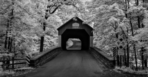 Black and white image of a covered bridge surrounded by dense trees.