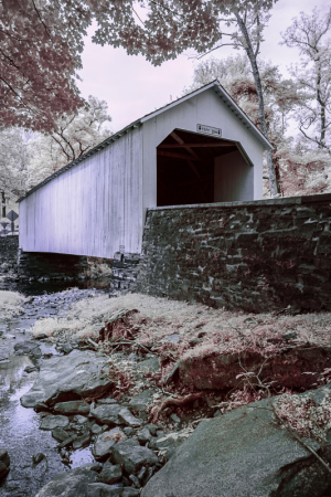 A surreal covered bridge over a stream, surrounded by ethereal trees and muted colors.