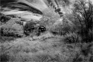 An abandoned building surrounded by trees and tall grass under a cloudy sky in infrared.