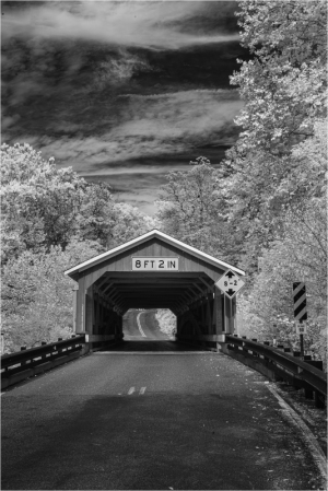 A black and white image of a covered bridge surrounded by trees.