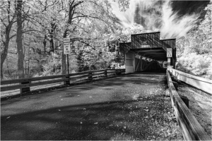 A covered bridge surrounded by trees in black and white, with a road leading into it.