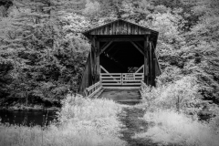 A weathered covered bridge looms amidst shadowy foliage, a path shrouded in twilight's grip.