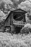 A weathered covered bridge stands silently, surrounded by dark trees and tall grasses.