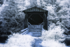 Old wooden covered bridge surrounded by trees, slightly eerie vibe
