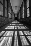 A hallway bathed in striped shadows and light, creating a dramatic effect.