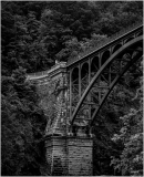 A historic bridge arching over dense green trees in black and white.