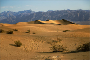 Golden dunes stretch beneath a vast sky, mountains loom in the distance, whispers of the desert's secrets.