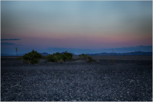 A vast, dark landscape under a pastel sky, dotted with sparse vegetation.