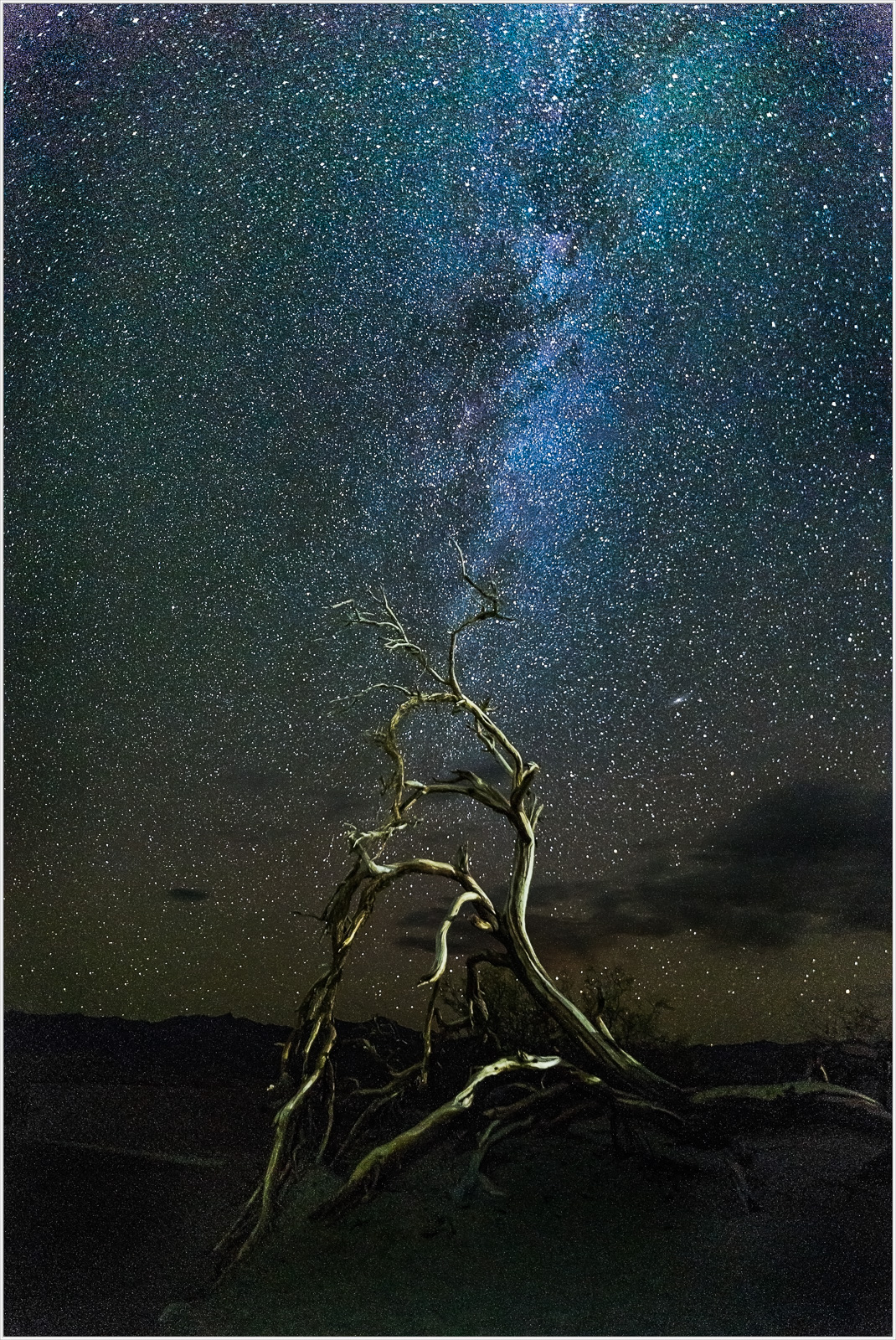 A gnarled tree silhouetted against a starry night sky in Death Valley.