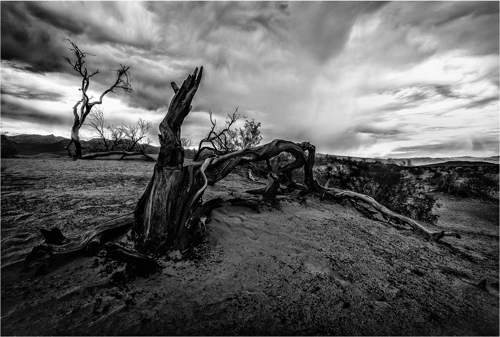 A gnarled tree trunk sprawls across the barren landscape under a dramatic sky.