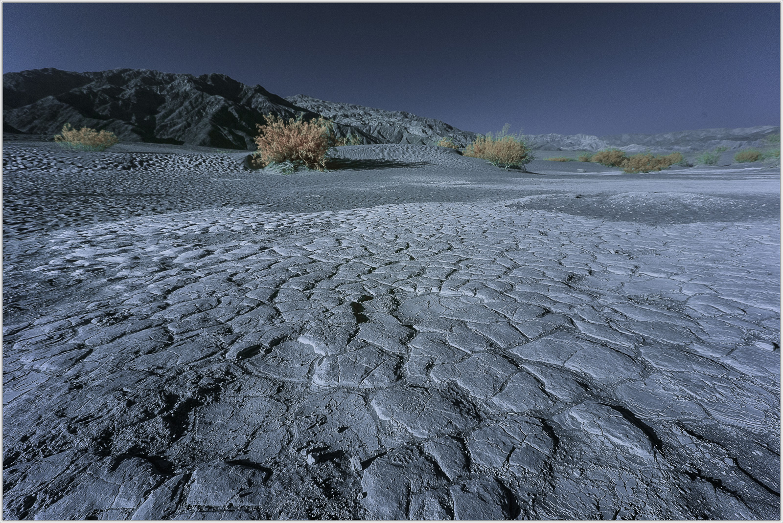 Cracked earth stretches under a surreal, moonlit sky, with ghostly plants peeking through.