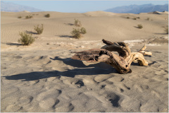 A gnarled piece of driftwood rests on golden sands, casting a long shadow under a vast sky.
