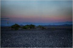 A vast, dark landscape under a pastel sky, dotted with sparse vegetation.