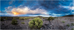 A vast desert landscape under a dramatic sky, with sparse vegetation and distant hills.