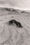 A weathered log partially buried in the sandy expanse of Death Valley, captured in moody tones.