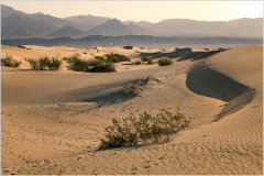 A vast desert landscape with rolling sand dunes and sparse vegetation under a hazy sky.
