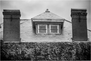 A house's roof with two chimneys and a window, covered in creeping ivy, in black and white.