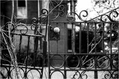 A wrought iron gate entwined with vines, leading to a shadowy path.