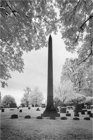 A haunting cemetery scene with a tall obelisk and scattered gravestones beneath eerie trees.