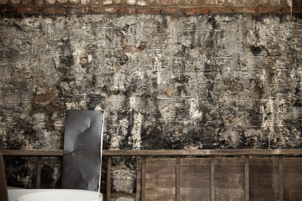A weathered wall with peeling paint and a lone chair, a stage for shadows and whispers.