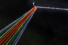 A close-up of a light beam splitting into vibrant rainbow colors.