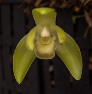 Washington Botanical Gardens