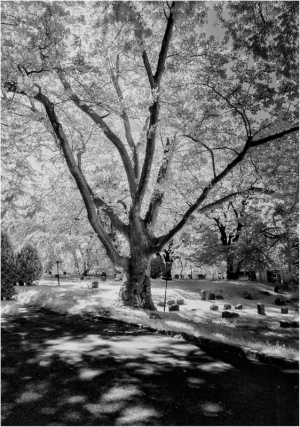 IR