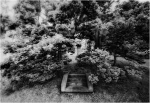 Green-Wood Cemetery, Infrared