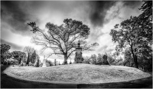 Infrared, Green-Wood Cemetery, Brooklyn, NY