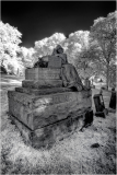 Green-Wood Cemetery, Infrared